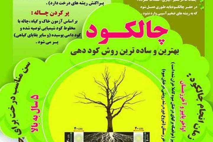 چالکود