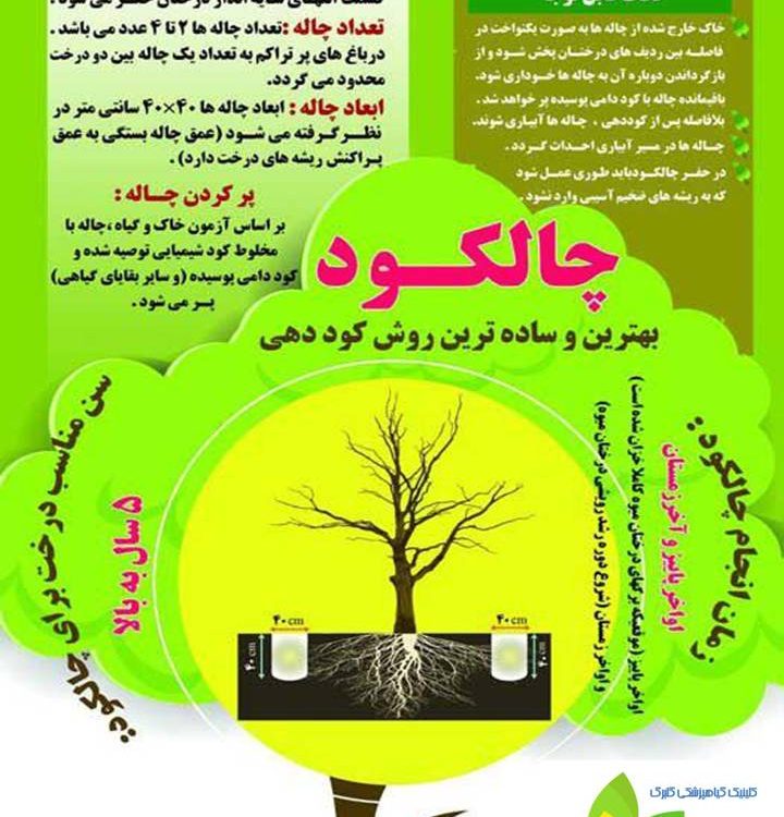 چالکود