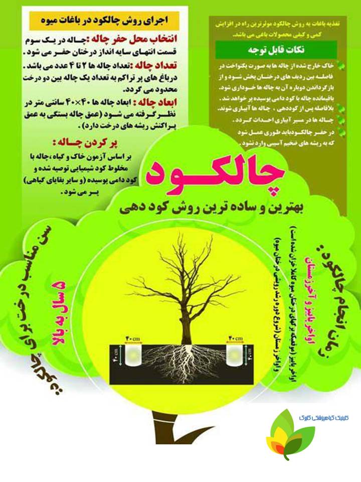 چالکود