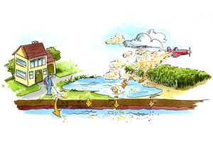 landscapepesticiderunoff