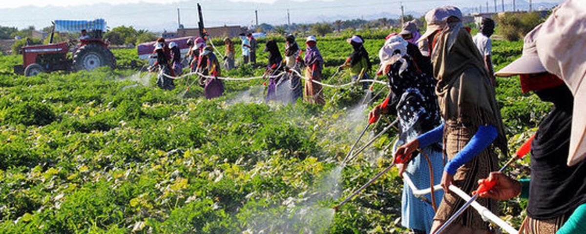 سموم کشاورزی
