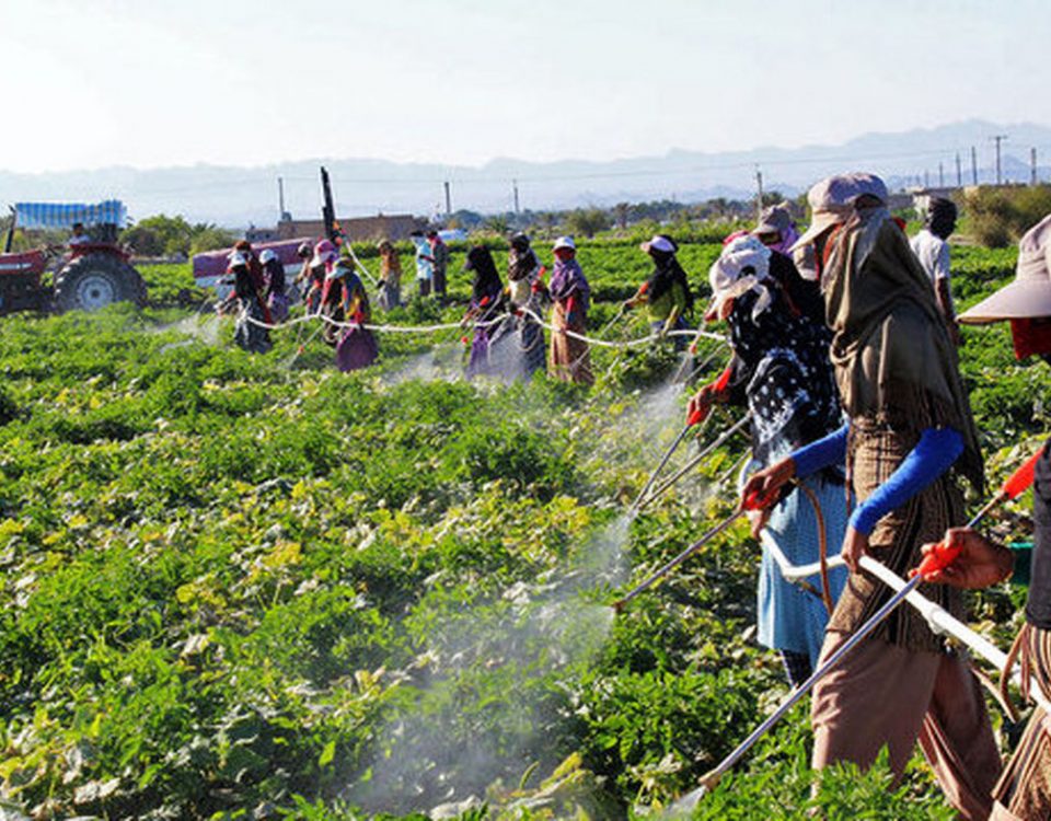سموم کشاورزی